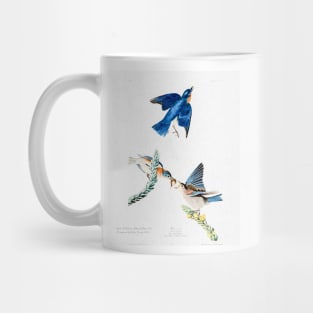 John Audubon Reimagined - Bluebirds Mug